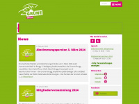 gruene-brugg.ch Webseite Vorschau