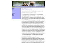 otterhound.de Webseite Vorschau