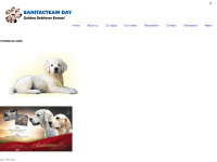 sanitacteamday.com Webseite Vorschau