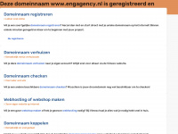 engagency.nl Webseite Vorschau