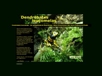 dendrobates-leucomelas.de Webseite Vorschau