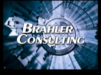 Braehler-consulting.com
