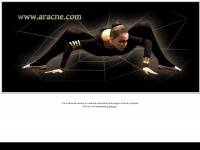 aracne.com Webseite Vorschau