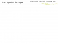 berlinger.at Webseite Vorschau
