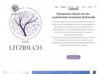 litzibuch.ch Webseite Vorschau