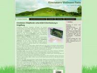 kinotakara-pflaster.at Webseite Vorschau