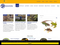 ravon.nl Webseite Vorschau