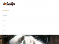 sallja.de Webseite Vorschau