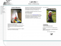 pro-tex.ch Webseite Vorschau