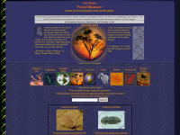 fossilmuseum.net Webseite Vorschau