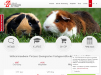 vzfs.ch Webseite Vorschau
