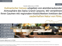 conn.ch Webseite Vorschau