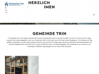 trin.ch Webseite Vorschau