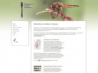 libellen-hessen.de Webseite Vorschau