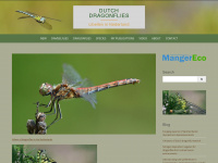 dutchdragonflies.eu Webseite Vorschau