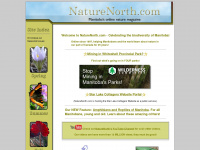 naturenorth.com Webseite Vorschau