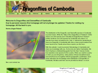 dragonflies-cambodia.com Webseite Vorschau