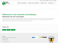 gondo.ch Webseite Vorschau