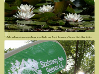 steinway-park-seesen.de Thumbnail