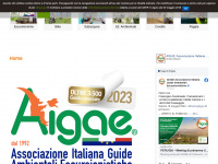 aigae.org Webseite Vorschau