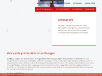 welscher-hansjoerg.com Webseite Vorschau