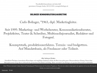 bolinger.ch Webseite Vorschau