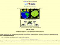 lacistemataceae.org Webseite Vorschau