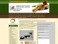 katzenbetreuung.at Webseite Vorschau
