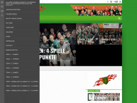 tus-bergen-handball.de Webseite Vorschau