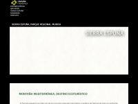 sierraespuna.com Webseite Vorschau