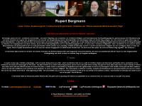 rupert-bergmann.at Webseite Vorschau