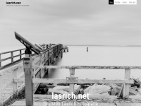 lasrich.net Webseite Vorschau