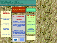 drehwald.info Webseite Vorschau