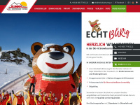 skischulesunny.at Webseite Vorschau