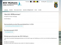 Bsv-muelheim.de