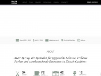 hairspring.ch Webseite Vorschau