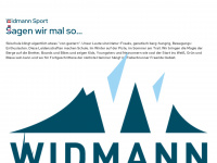 skischule-fieberbrunn.at Webseite Vorschau