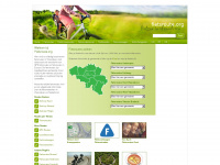 fietsroute.org Webseite Vorschau