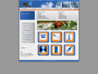 netsi.net Webseite Vorschau