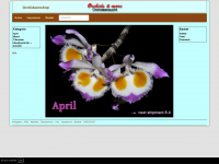 orchideen.com Webseite Vorschau