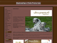 dalmatien-club-francais.org Webseite Vorschau