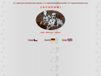 javapami.com Webseite Vorschau