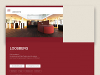 loosberg.de Webseite Vorschau