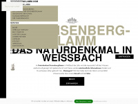 seisenbergklamm.com Webseite Vorschau