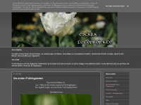 escara-fotoprojekte.blogspot.com Webseite Vorschau