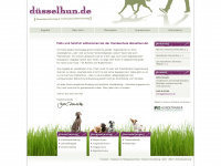 duesselhunde.de Webseite Vorschau