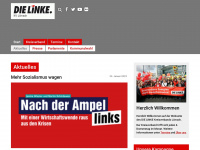 dielinke-loerrach.de Webseite Vorschau