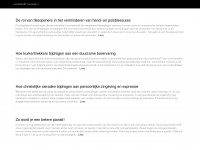 muziekhandel-boeijenga.nl Webseite Vorschau