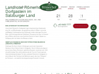 roemerhof.com Webseite Vorschau