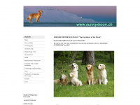 sunnymoon.ch Webseite Vorschau